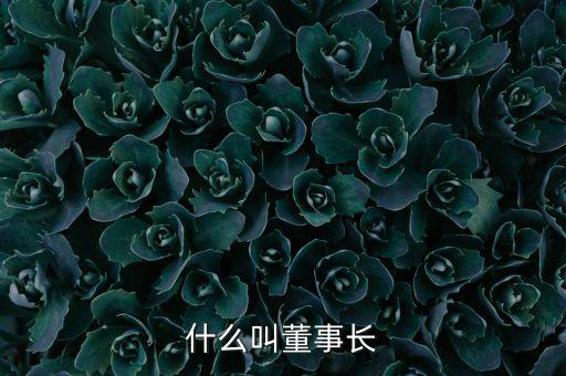 太能集團董事長叫什么,總經(jīng)理在分別行使什么權利