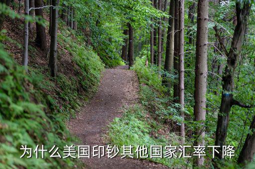 為什么美國對匯價(jià)下降感到不安,會下降到什么水平