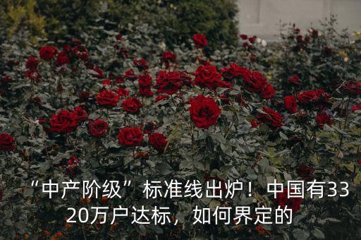 “中產(chǎn)階級(jí)”標(biāo)準(zhǔn)線出爐！中國(guó)有3320萬(wàn)戶達(dá)標(biāo)，如何界定的