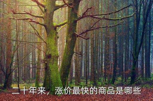 二十年來(lái)，漲價(jià)最快的商品是哪些