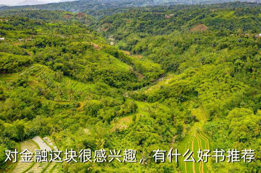 對(duì)金融這塊很感興趣，有什么好書(shū)推薦