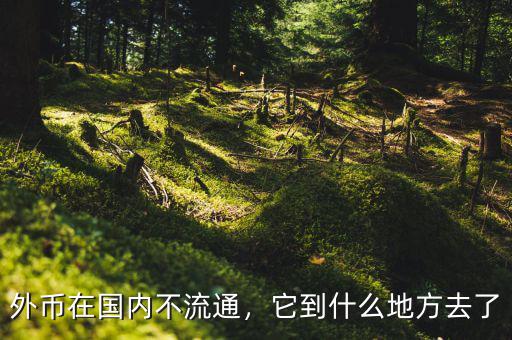 外幣在國內(nèi)不流通，它到什么地方去了