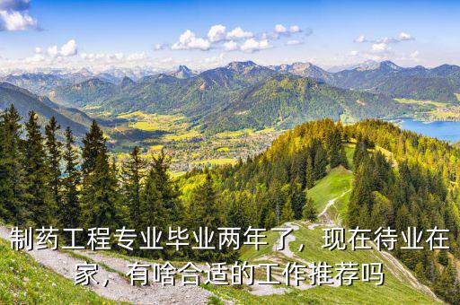 制藥工程專業(yè)畢業(yè)兩年了，現(xiàn)在待業(yè)在家，有啥合適的工作推薦嗎