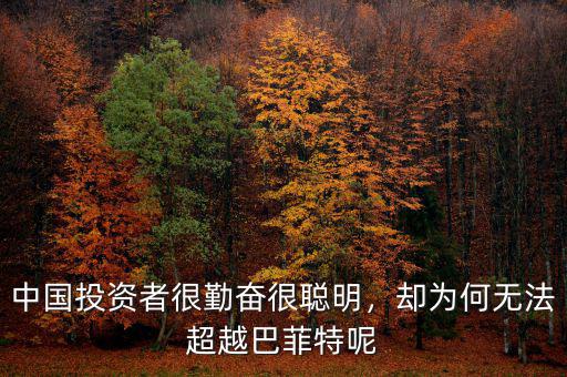 中國(guó)投資者很勤奮很聰明，卻為何無(wú)法超越巴菲特呢