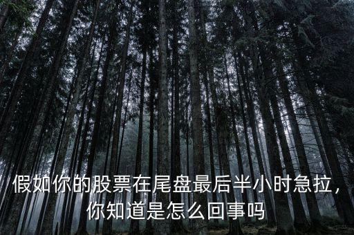 假如你的股票在尾盤最后半小時急拉，你知道是怎么回事嗎