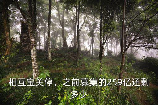 e租寶現(xiàn)在還剩下多少錢(qián),還剩多少錢(qián)養(yǎng)老
