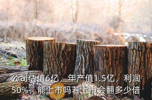 公司估值6億，年產(chǎn)值1.5億，利潤50%，能上市嗎若上市會翻多少倍