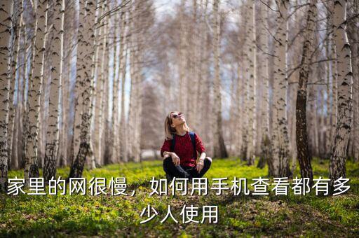 家里的網(wǎng)很慢，如何用手機查看都有多少人使用