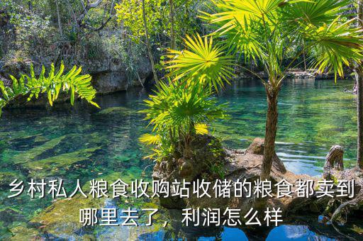 鄉(xiāng)村私人糧食收購站收儲的糧食都賣到哪里去了，利潤怎么樣