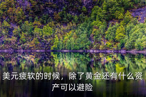 美元疲軟的時候，除了黃金還有什么資產(chǎn)可以避險