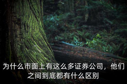 為什么市面上有這么多證券公司，他們之間到底都有什么區(qū)別