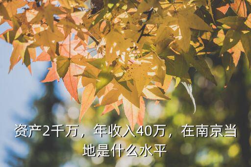 資產(chǎn)2千萬(wàn)，年收入40萬(wàn)，在南京當(dāng)?shù)厥鞘裁此? class=