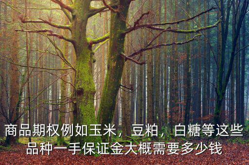 商品期權例如玉米，豆粕，白糖等這些品種一手保證金大概需要多少錢