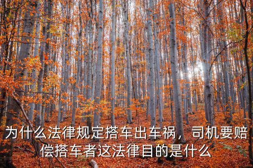 為什么法律規(guī)定搭車出車禍，司機要賠償搭車者這法律目的是什么