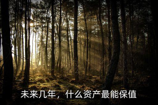 未來幾年，什么資產(chǎn)最能保值