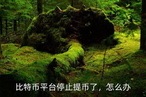 比特幣平臺停止提幣了，怎么辦