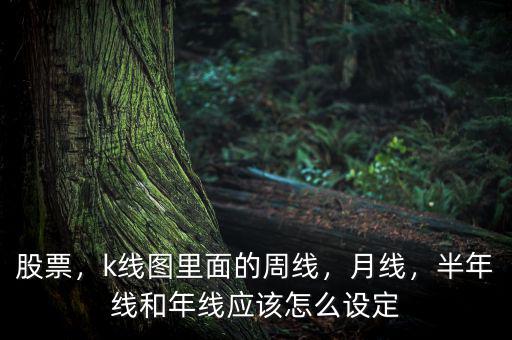 股票，k線圖里面的周線，月線，半年線和年線應該怎么設(shè)定