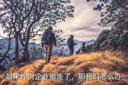 如果外資企業(yè)撤走了，那我們怎么辦