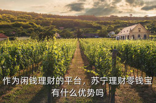 作為閑錢理財(cái)?shù)钠脚_(tái)，蘇寧理財(cái)零錢寶有什么優(yōu)勢(shì)嗎