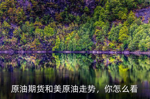 原油期貨和美原油走勢，你怎么看