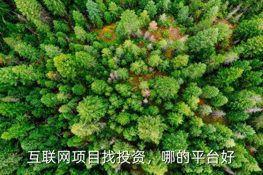 互聯(lián)網項目找投資，哪的平臺好