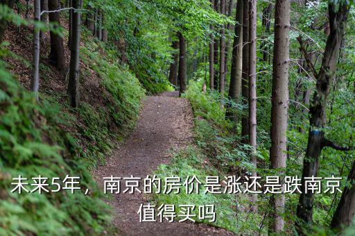 未來5年，南京的房價是漲還是跌南京值得買嗎