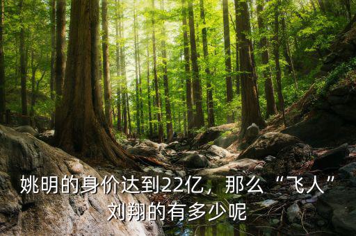 姚明的身價(jià)達(dá)到22億，那么“飛人”劉翔的有多少呢