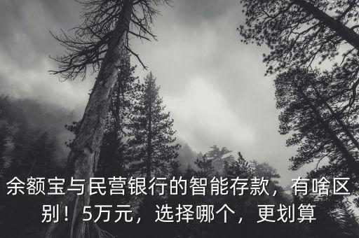 余額寶與民營(yíng)銀行的智能存款，有啥區(qū)別！5萬(wàn)元，選擇哪個(gè)，更劃算