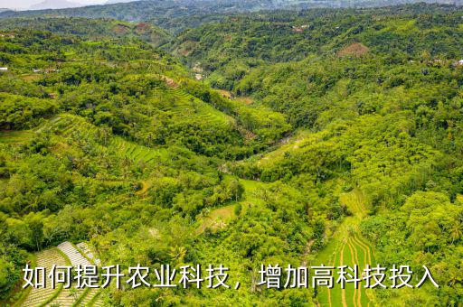 為什么要加大農業(yè)的科技投入,增加高科技投入