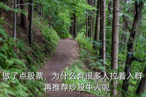做了點股票，為什么有很多人拉著入群，再推薦炒股牛人呢