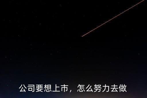 公司要想上市，怎么努力去做
