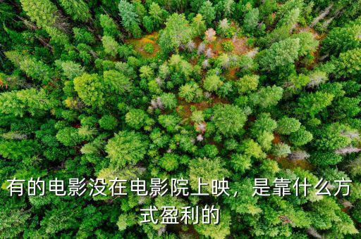 有的電影沒(méi)在電影院上映，是靠什么方式盈利的