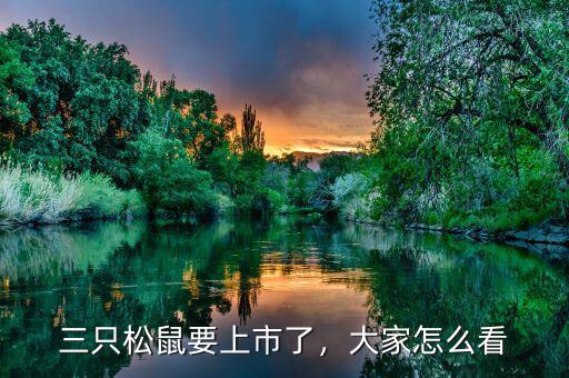 三只松鼠要上市了，大家怎么看