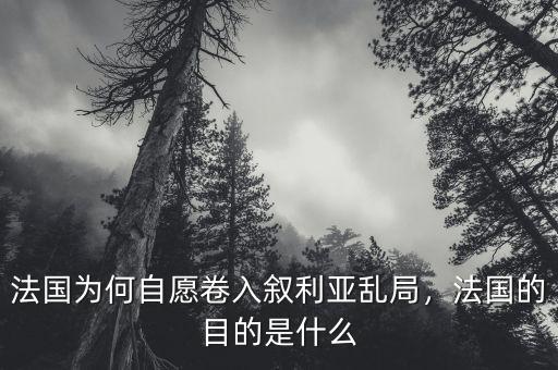 法國為何自愿卷入敘利亞亂局，法國的目的是什么