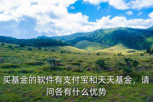 買基金的軟件有支付寶和天天基金，請(qǐng)問(wèn)各有什么優(yōu)勢(shì)