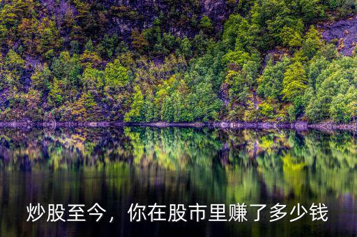 炒股至今，你在股市里賺了多少錢