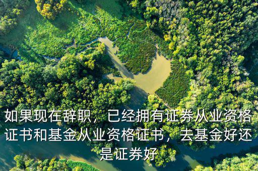 如果現(xiàn)在辭職，已經(jīng)擁有證券從業(yè)資格證書和基金從業(yè)資格證書，去基金好還是證券好