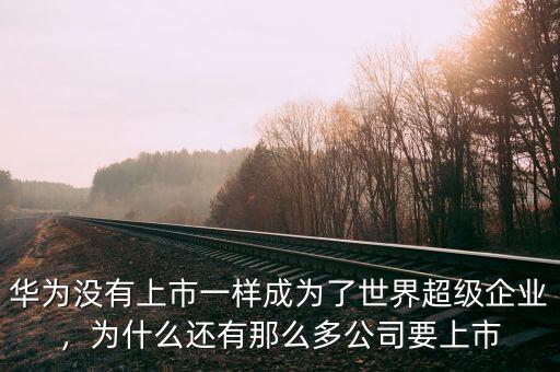華為沒有上市一樣成為了世界超級(jí)企業(yè)，為什么還有那么多公司要上市