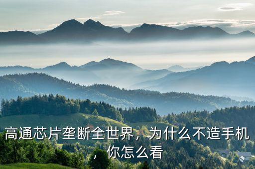 高通芯片壟斷全世界，為什么不造手機，你怎么看