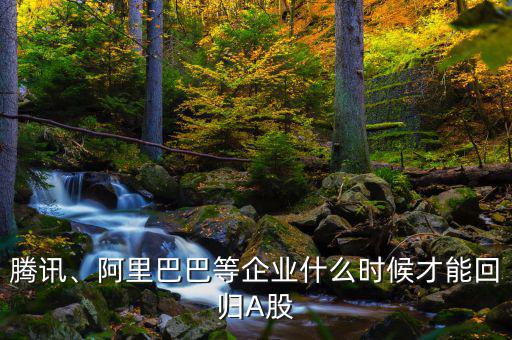 騰訊、阿里巴巴等企業(yè)什么時候才能回歸A股