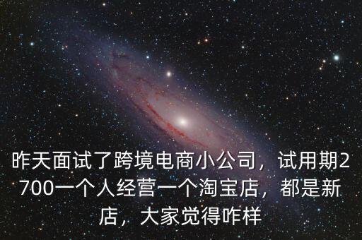 昨天面試了跨境電商小公司，試用期2700一個(gè)人經(jīng)營(yíng)一個(gè)淘寶店，都是新店，大家覺(jué)得咋樣