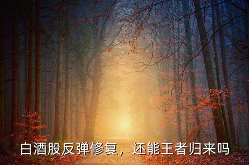 白酒股反彈修復(fù)，還能王者歸來嗎