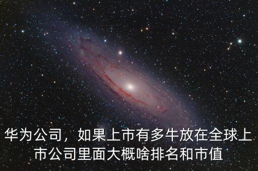 華為公司，如果上市有多牛放在全球上市公司里面大概啥排名和市值