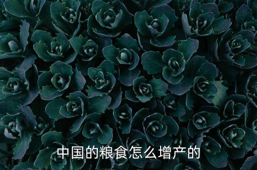 中國(guó)糧食都怎么種,中國(guó)以后的糧食誰(shuí)來種