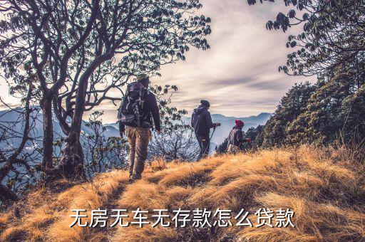 沒(méi)房沒(méi)車(chē)怎么貸款,怎么在銀行貸款