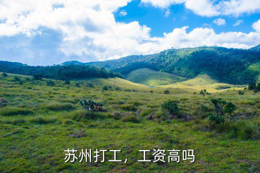 蘇州打工，工資高嗎