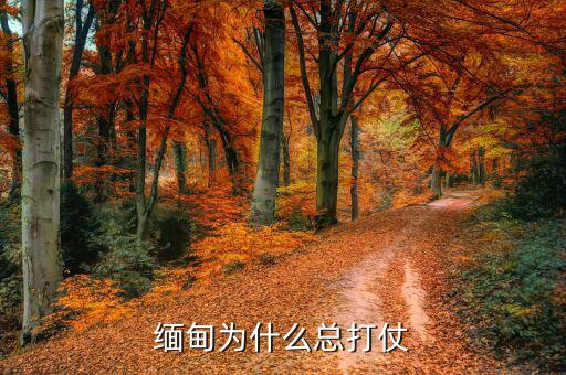 緬甸為什么?；?緬甸為什么經(jīng)常打內戰(zhàn)