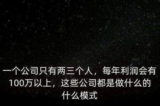 一個公司只有兩三個人，每年利潤會有100萬以上，這些公司都是做什么的什么模式