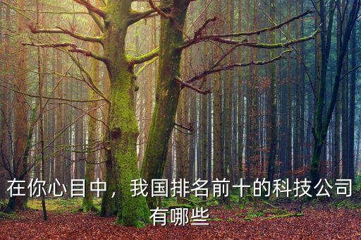 在你心目中，我國排名前十的科技公司有哪些