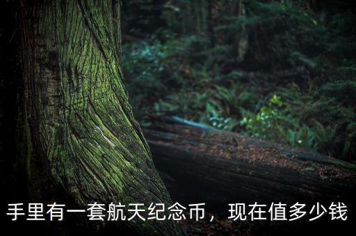 航天紀念幣重量多少克,現在值多少錢